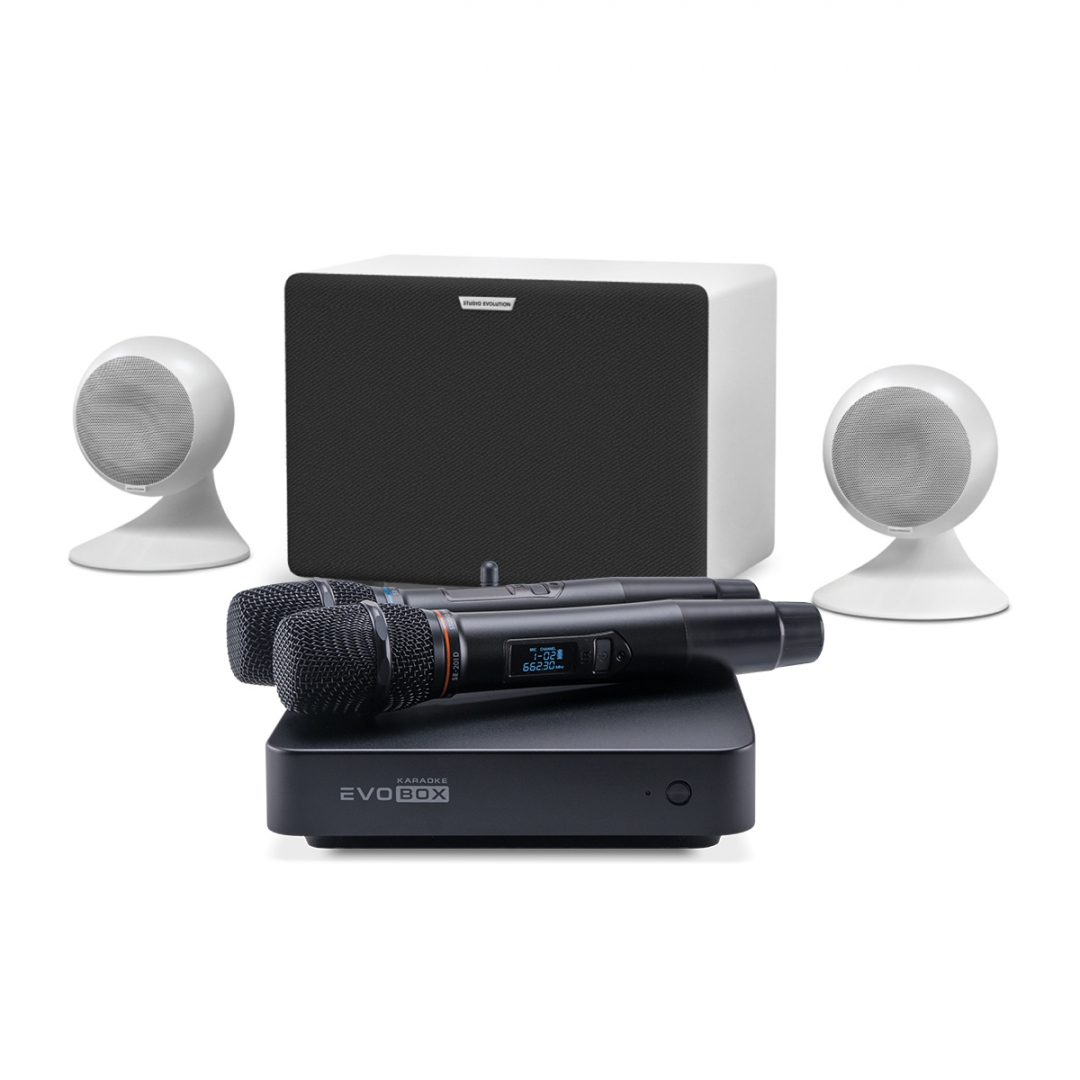караоке-комплект EVOBOX Classic + EvoSound Sphere 2.1 в Шатуре