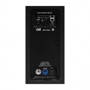 Активная акустическая система AST-310A в Шатуре
