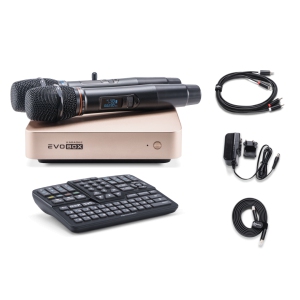 EVOBOX Classic караоке-система для дома в Шатуре