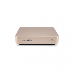 EVOBOX с микрофонами в Шатуре